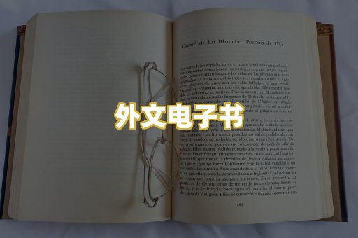 外文电子书